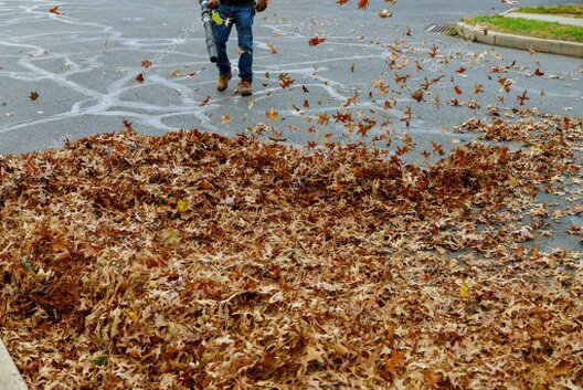 Laubbläser im Einsatz auf einer Wegefläche