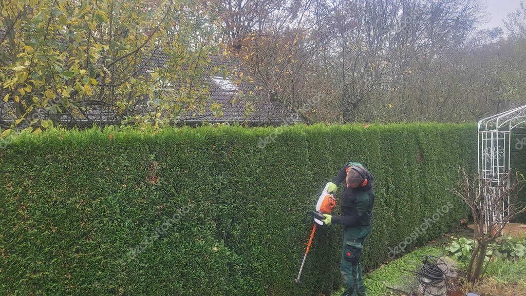 Gepflegter Garten eines Einfamilienhauses