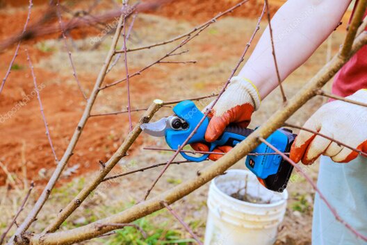 Gartenwerkzeuge für verschiedene saisonale Arbeiten